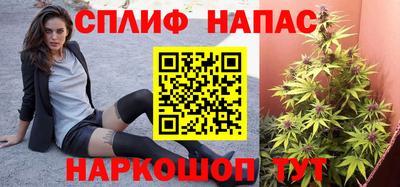 спайс Пугачёв