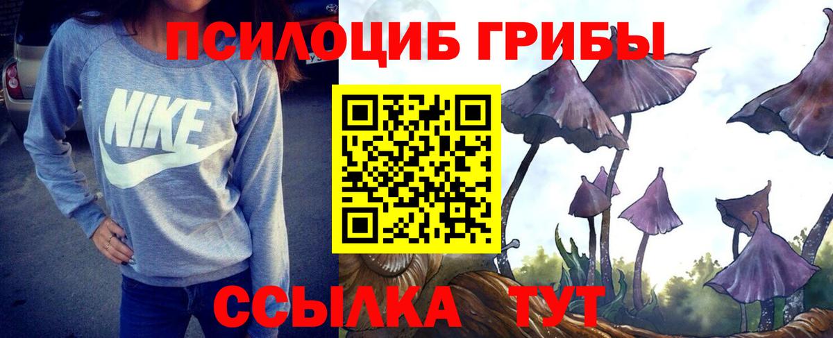 Саратов  Галлюциногенные грибы GOLDEN TEACHER  Вход с VPN 